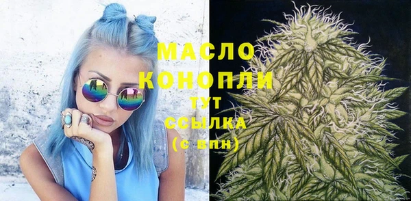 твердый Новодвинск