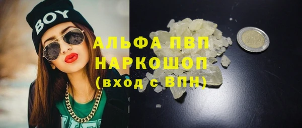 амф Новокубанск