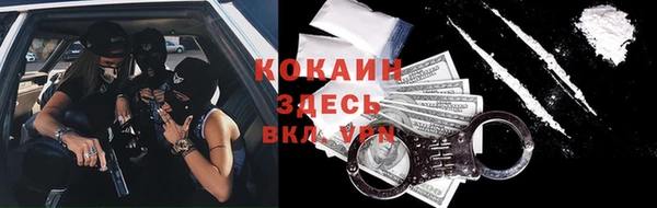 твердый Новодвинск
