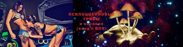 ECSTASY Новозыбков