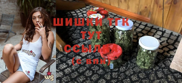 твердый Новодвинск