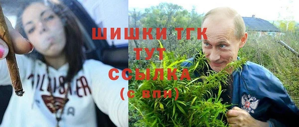 твердый Новодвинск