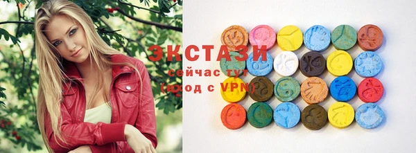 твердый Новодвинск