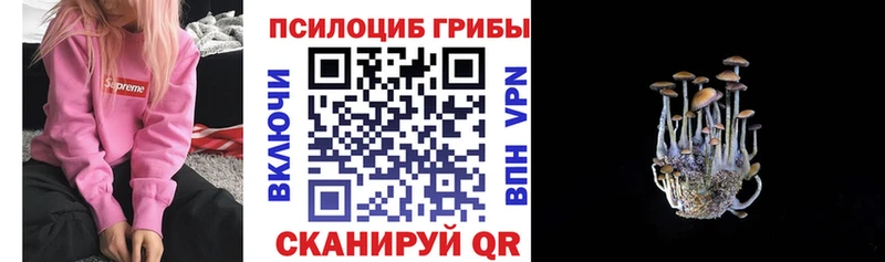 где можно купить   Нижний Ломов  Галлюциногенные грибы мицелий 