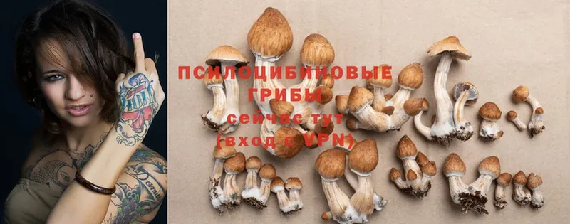 Галлюциногенные грибы Cubensis  магазин продажи   omg ссылка  Нижний Ломов 